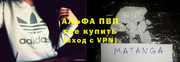прущие грибы Весьегонск