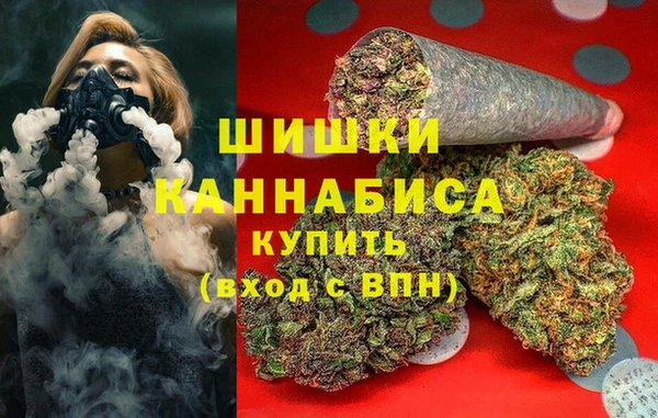 тгк Осташков