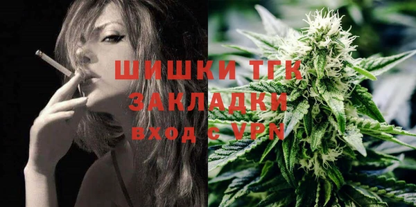 тгк Осташков
