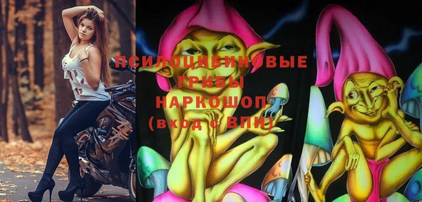 амф Осинники