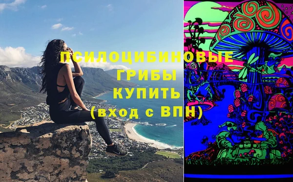 амф Осинники
