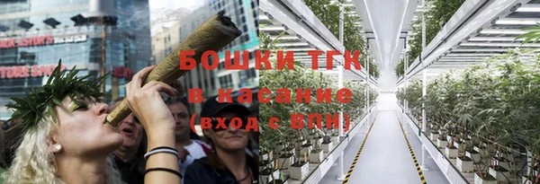 тгк Осташков