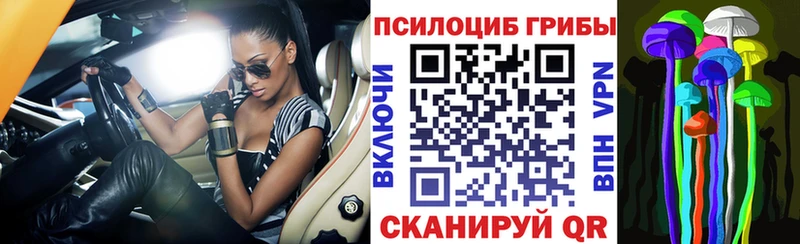 наркотики  Закаменск  Галлюциногенные грибы мицелий 